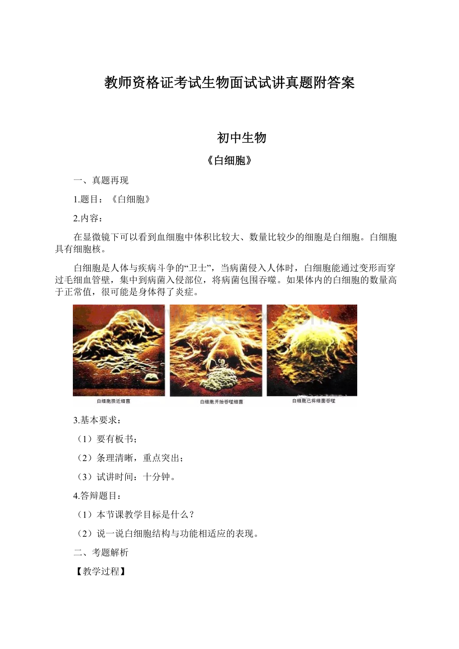 教师资格证考试生物面试试讲真题附答案.docx