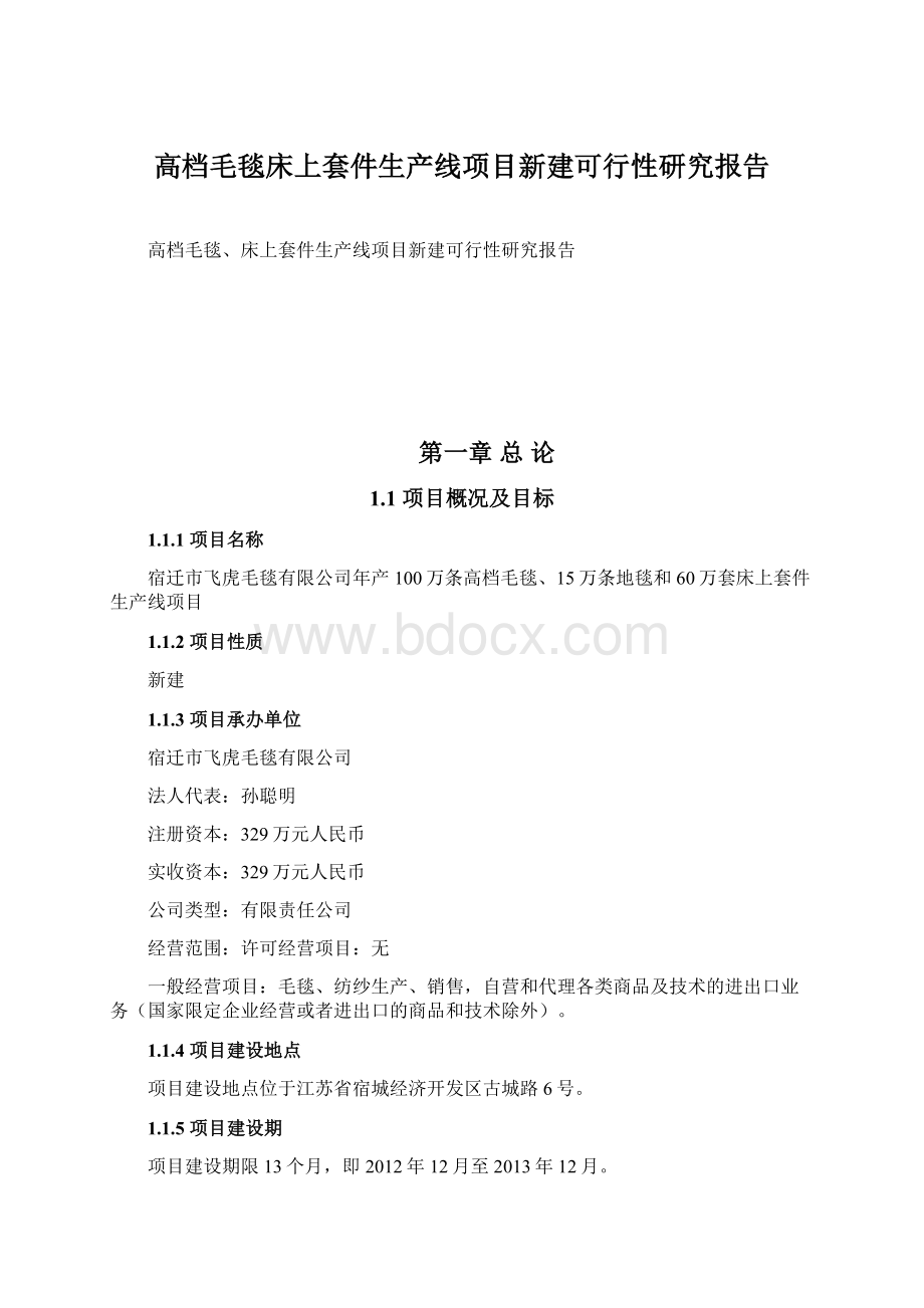 高档毛毯床上套件生产线项目新建可行性研究报告.docx_第1页