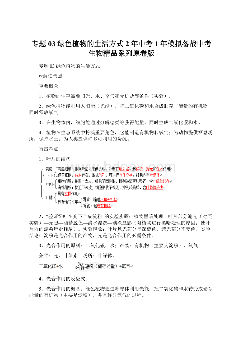 专题03 绿色植物的生活方式2年中考1年模拟备战中考生物精品系列原卷版文档格式.docx