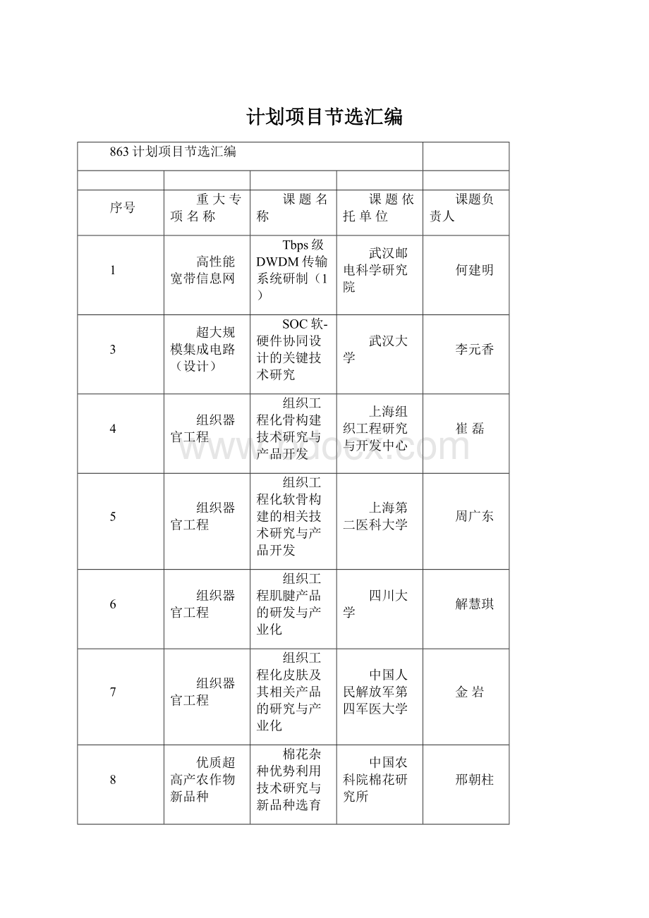 计划项目节选汇编Word下载.docx