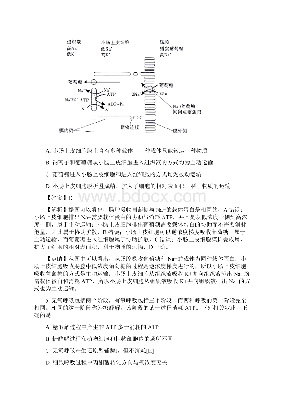 安徽省皖江名校联盟届高三联考生物试题Word版附详细解析.docx_第3页