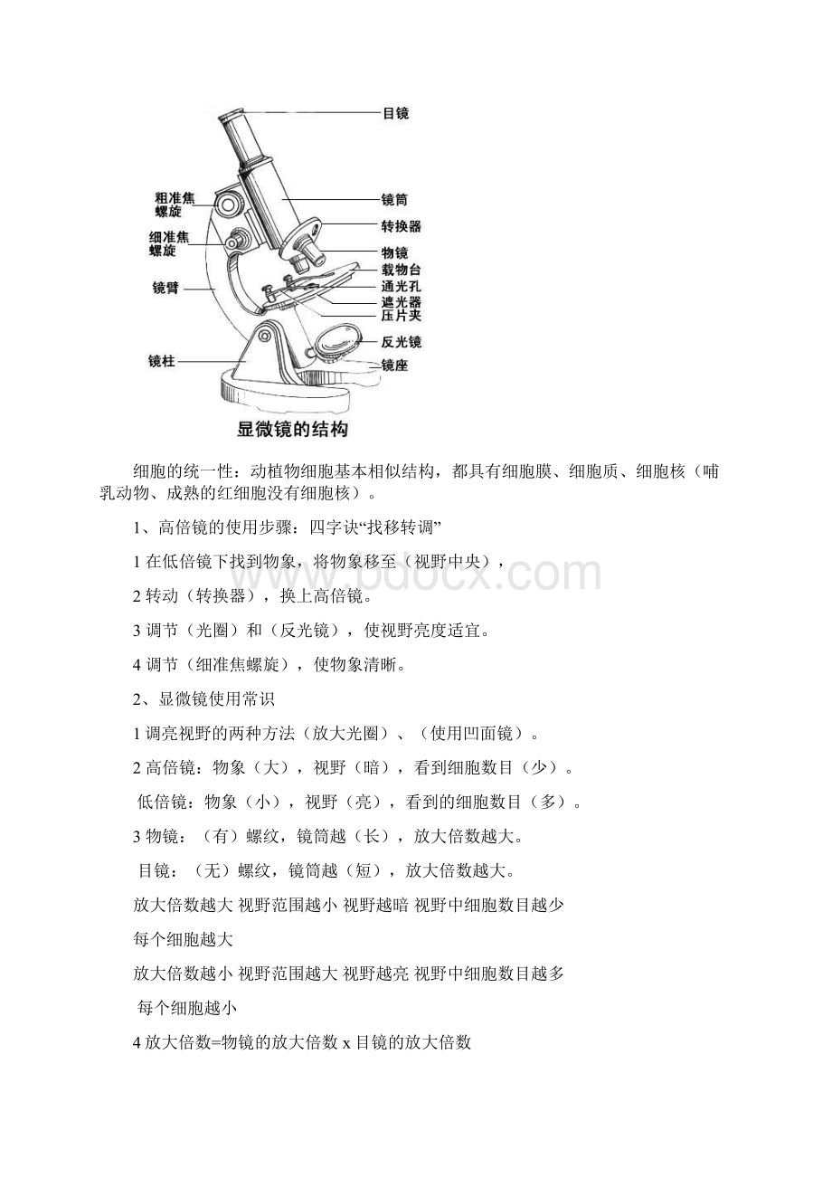 生物必修1重要知识点总结Word格式.docx_第2页