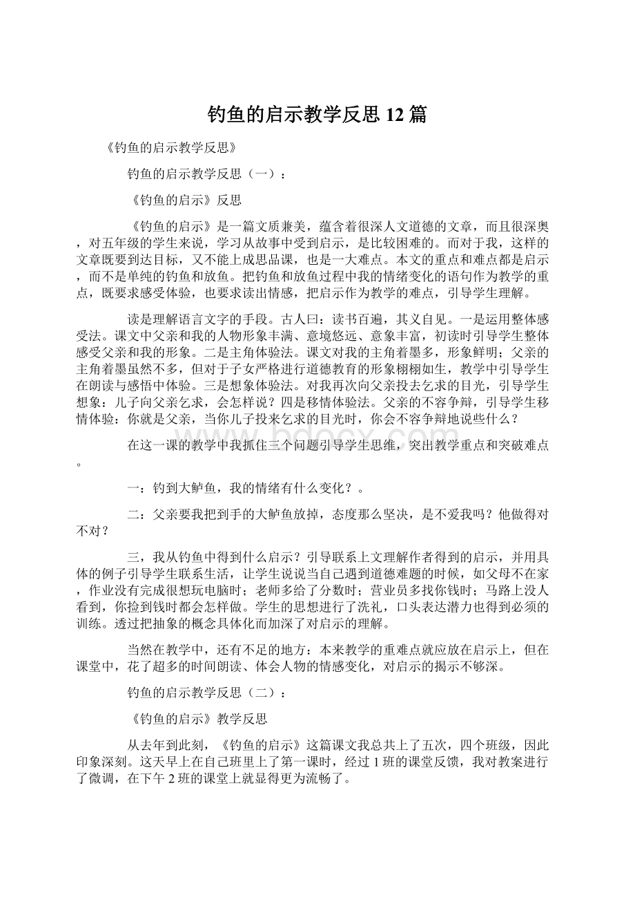 钓鱼的启示教学反思12篇.docx