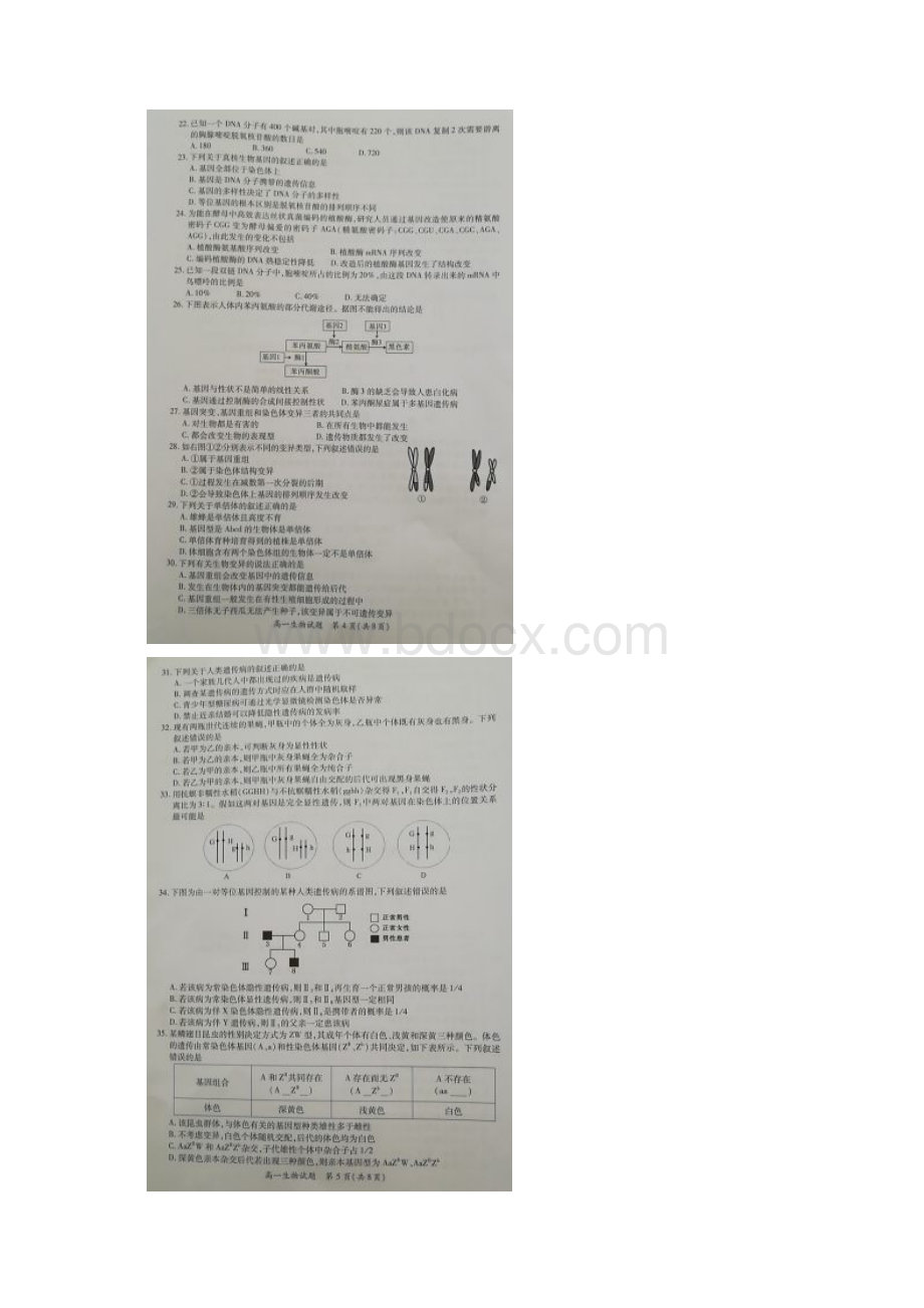 学年度福建省学年厦门市高一下学期期末质量检测生物试题Word格式.docx_第3页