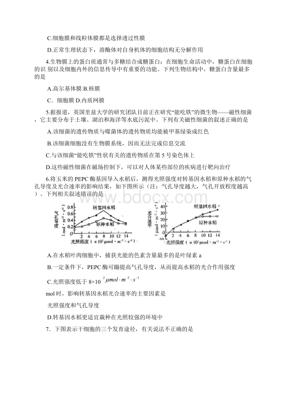 届河南省豫东豫北十所名校高三上学期第四次联考生物试题及答案.docx_第2页