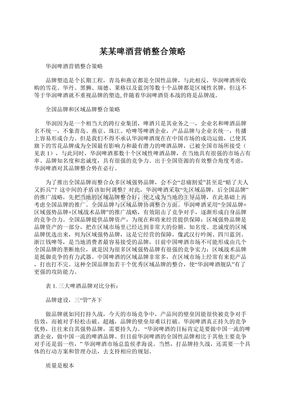 某某啤酒营销整合策略文档格式.docx