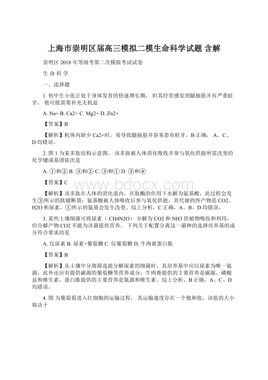 上海市崇明区届高三模拟二模生命科学试题 含解Word文件下载.docx_第1页