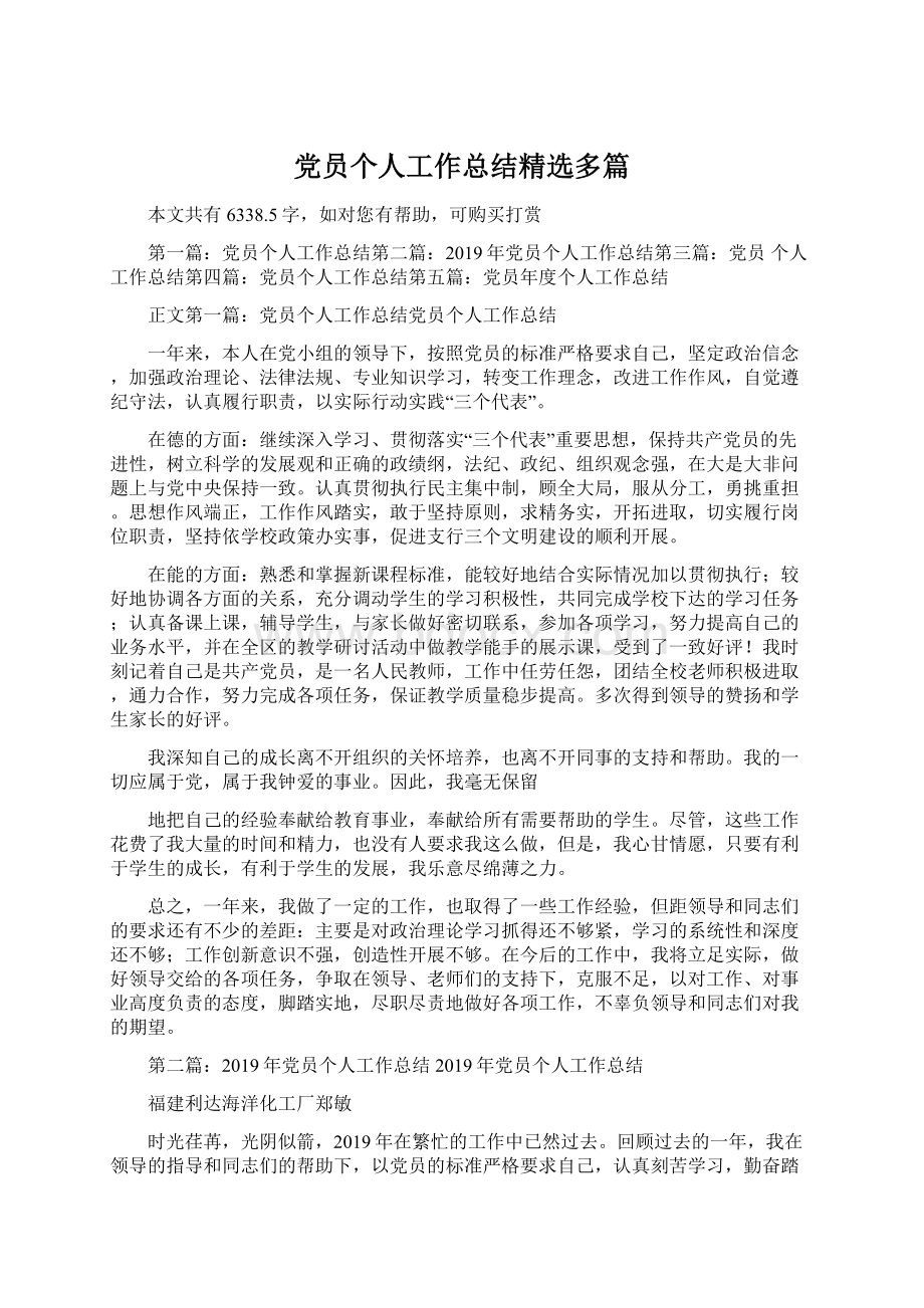 党员个人工作总结精选多篇Word文档格式.docx