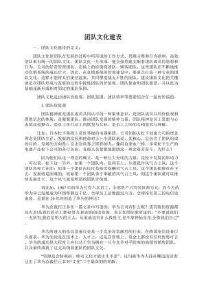 团队文化建设Word文档格式.docx