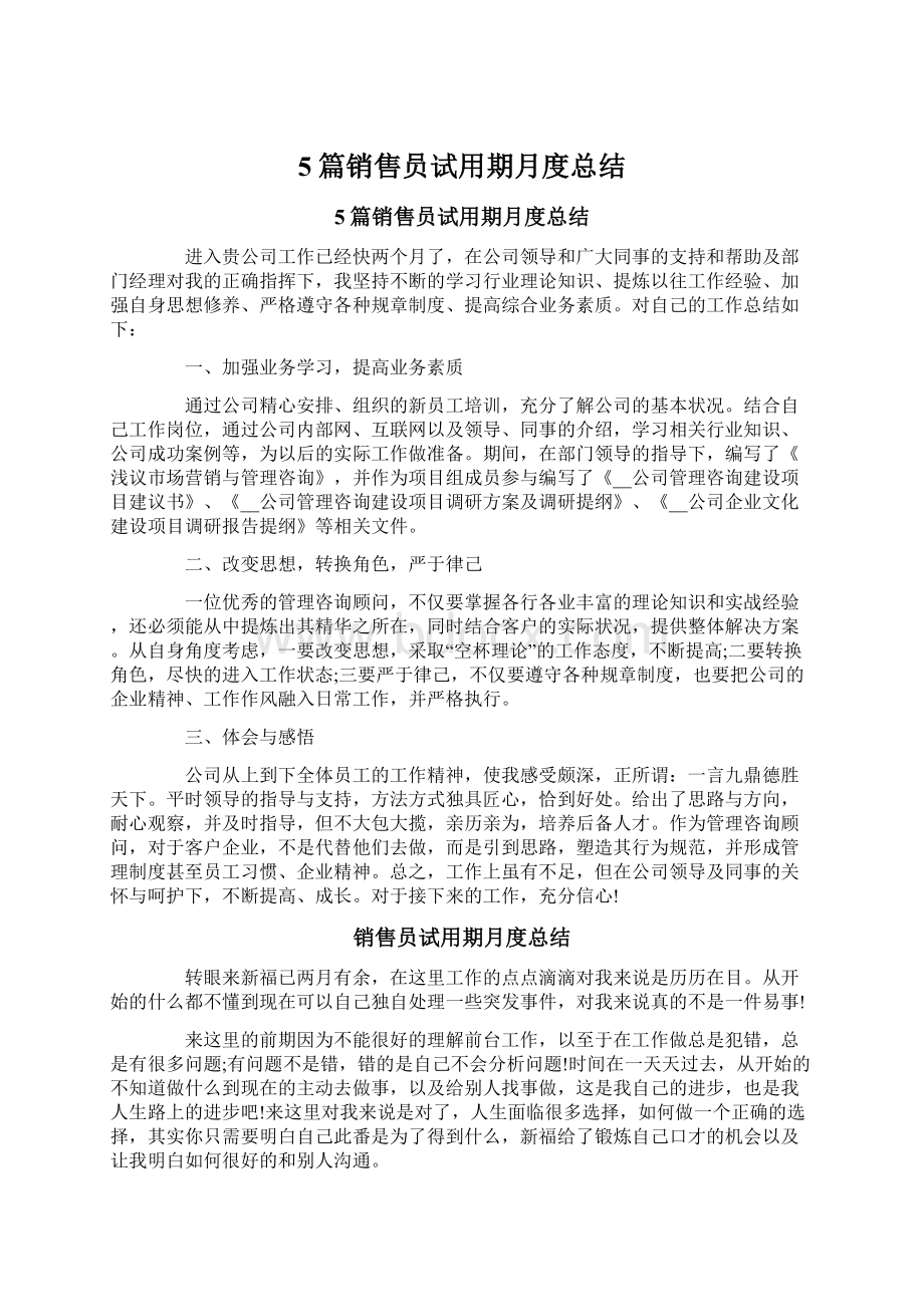 5篇销售员试用期月度总结文档格式.docx