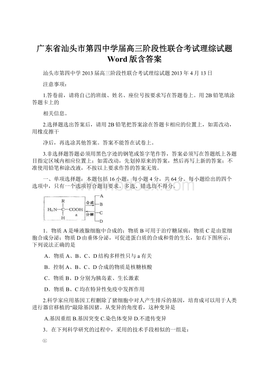 广东省汕头市第四中学届高三阶段性联合考试理综试题 Word版含答案.docx