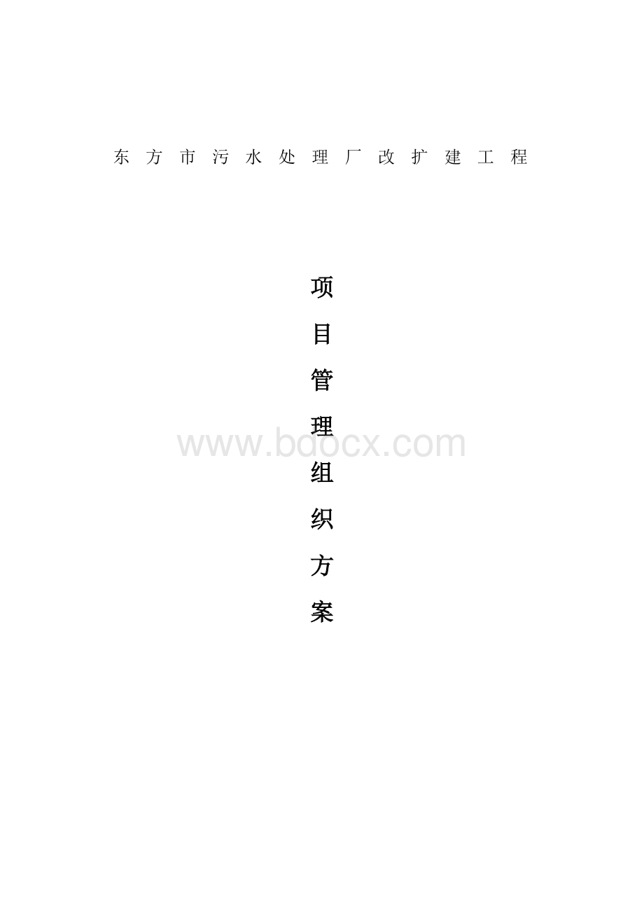 项目管理组织方案Word格式.doc