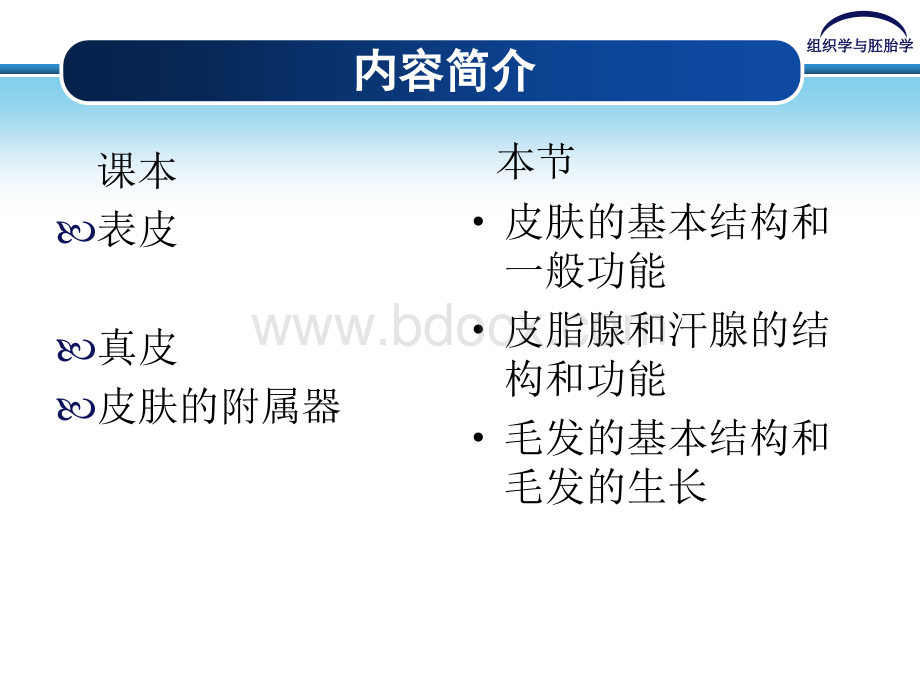 《皮肤》课件PPT资料.ppt_第2页