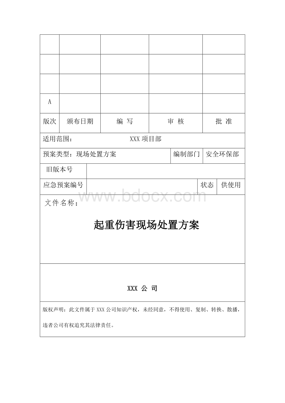 项目起重伤害现场处置方案Word格式文档下载.docx