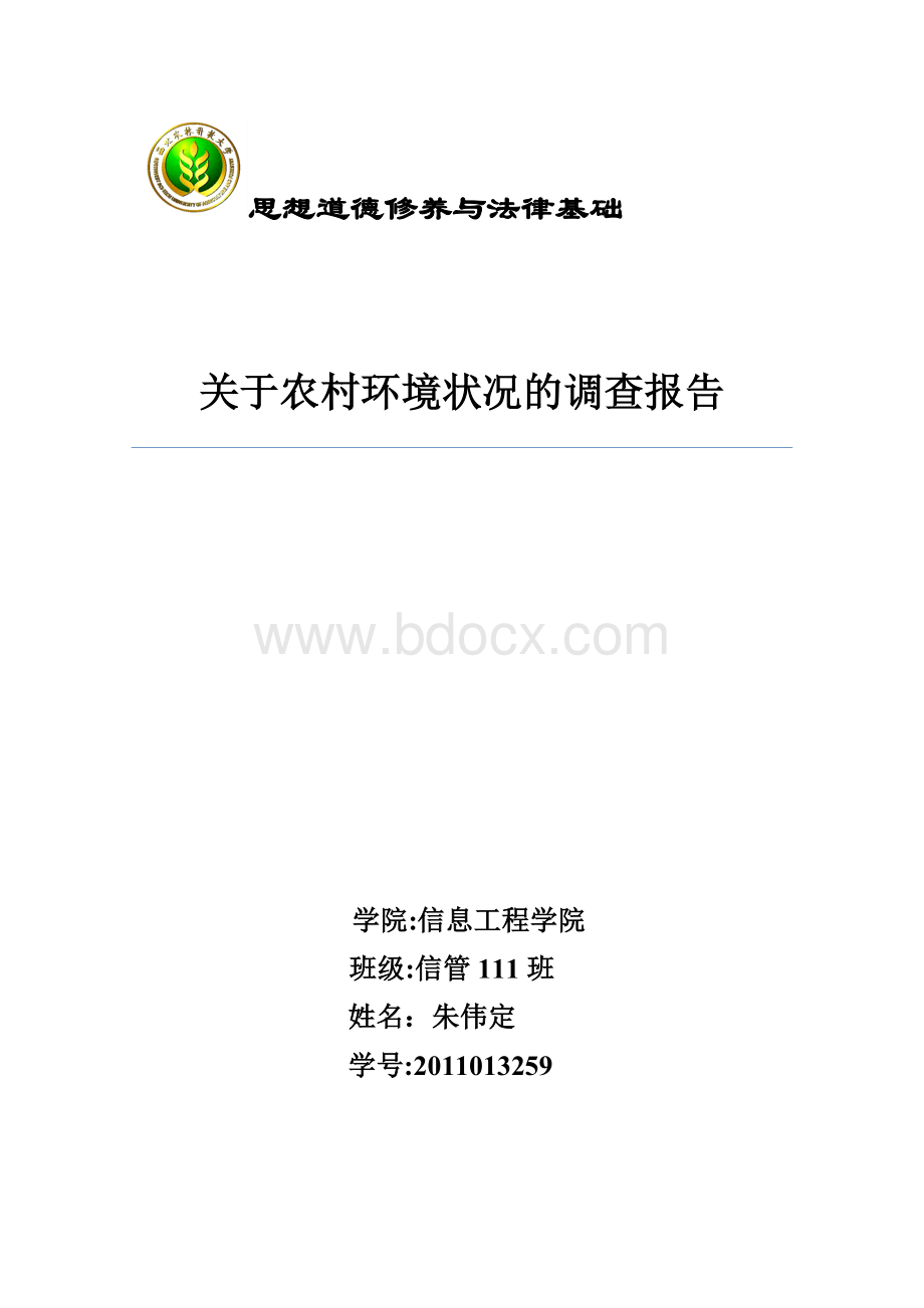 关于农村环境状况的调查报告文档格式.doc_第1页