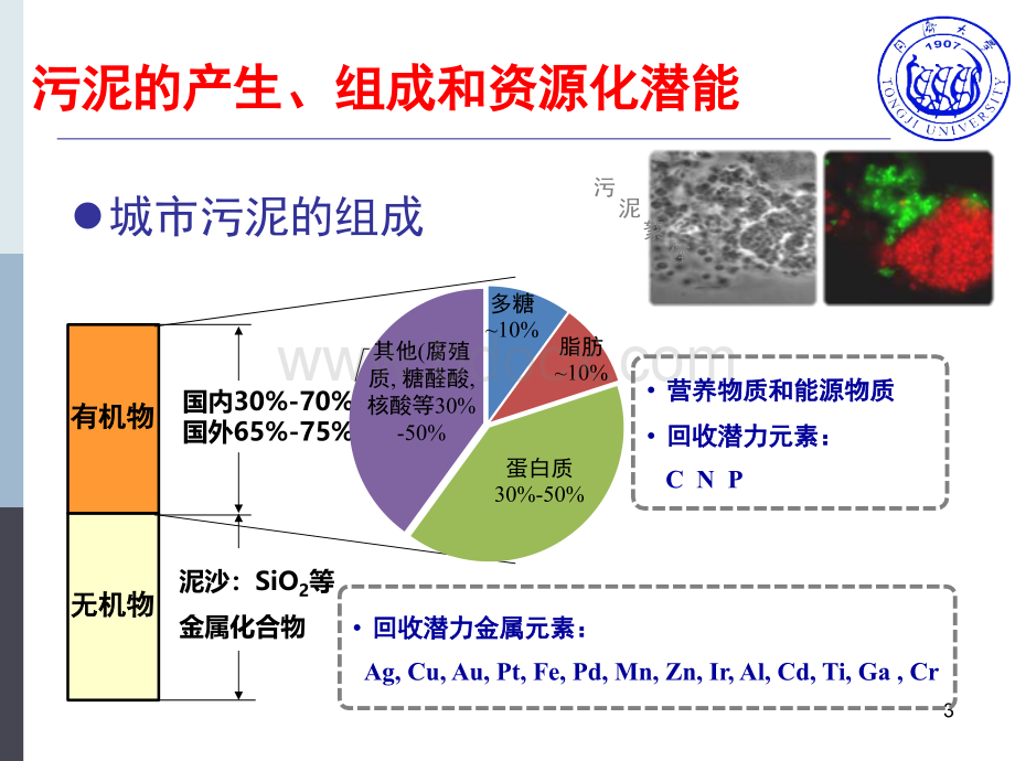 厌氧消化污泥处理处置PPT文档格式.pptx_第3页