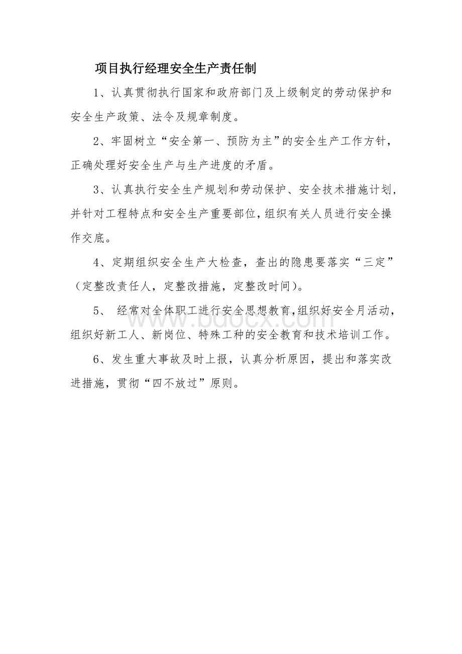 项目执行经理安全责任制Word格式文档下载.doc