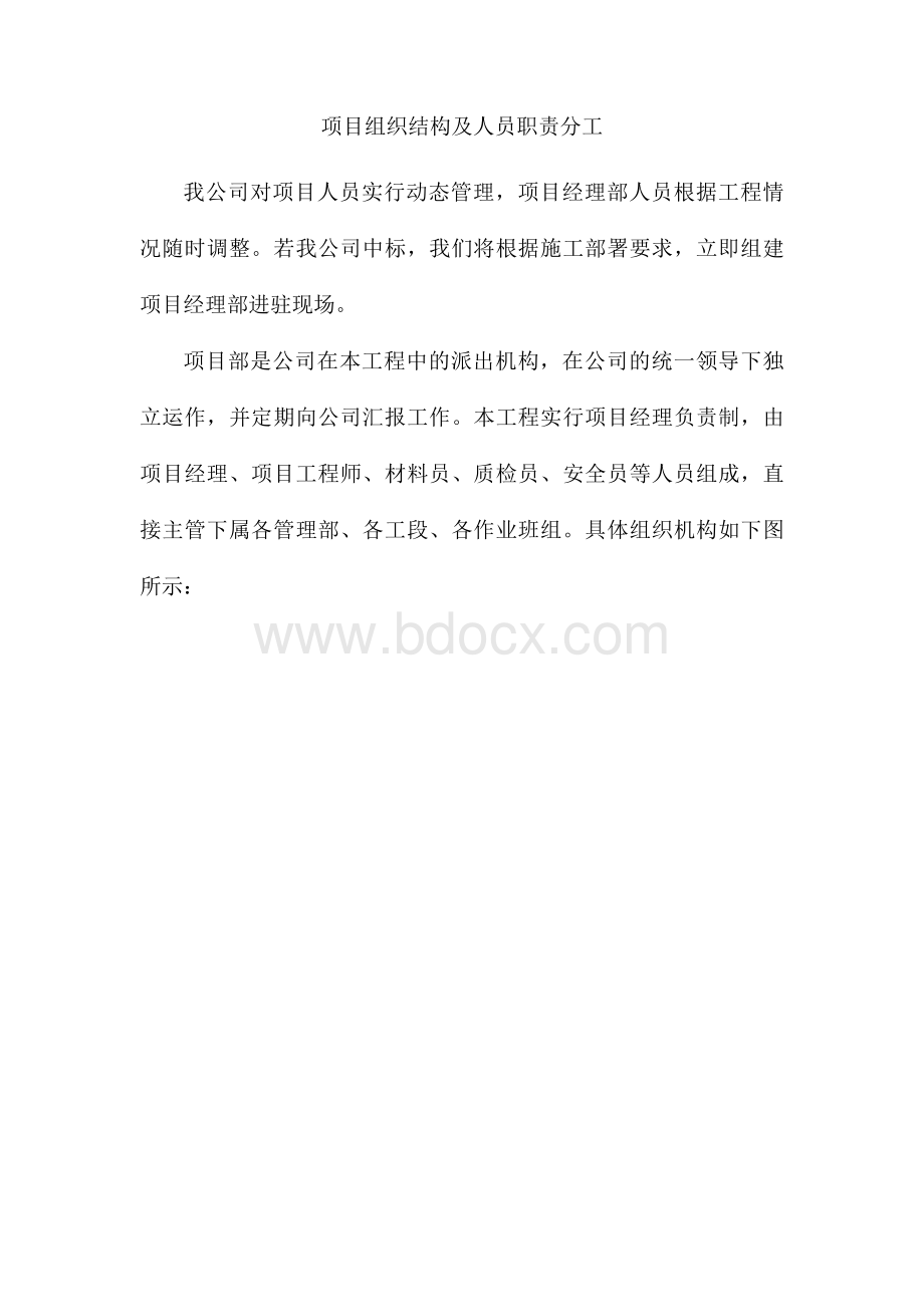 项目组织结构及人员职责分工Word文档下载推荐.docx_第1页