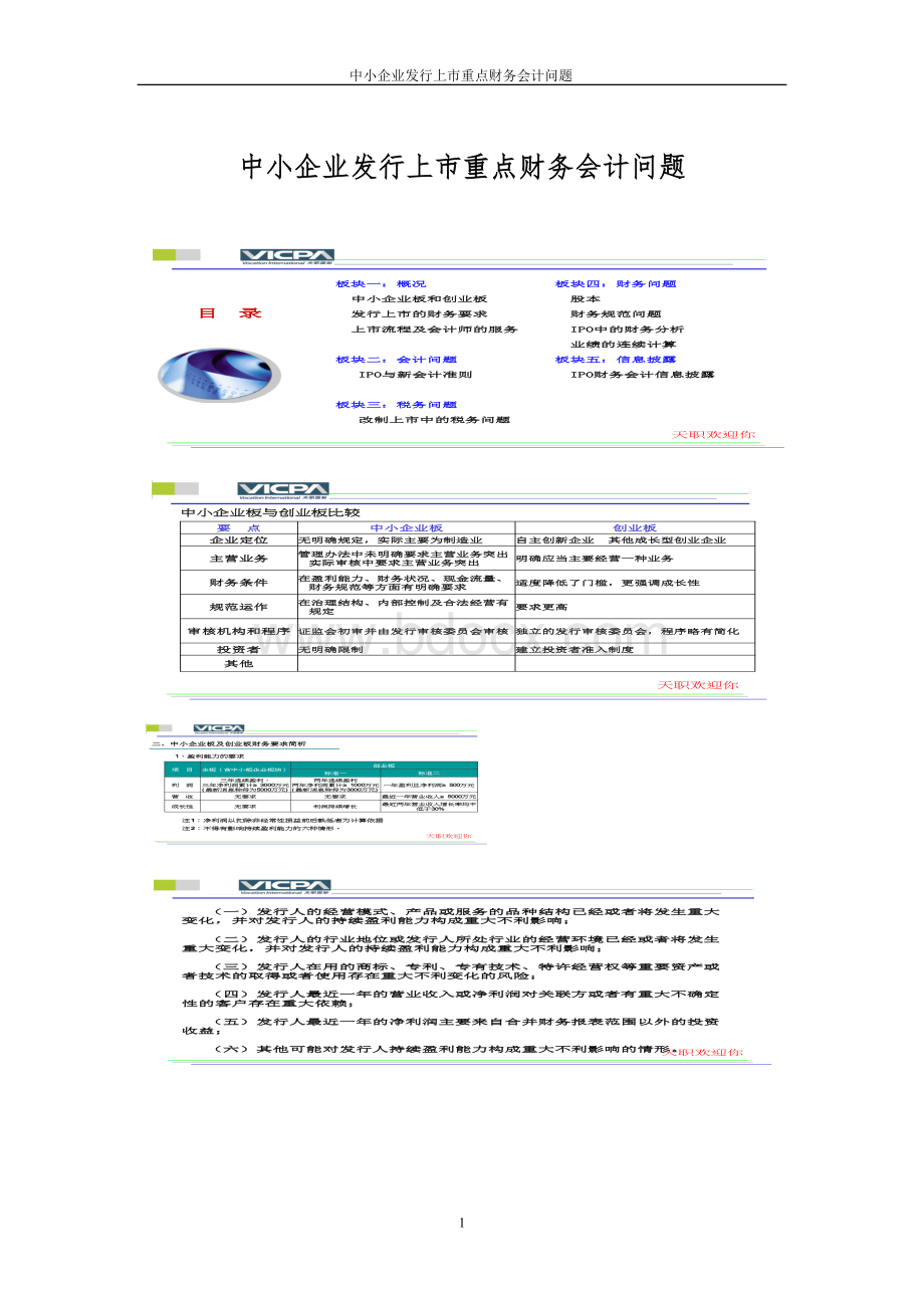 中小企业发行上市重点财务会计问题文档格式.doc_第1页