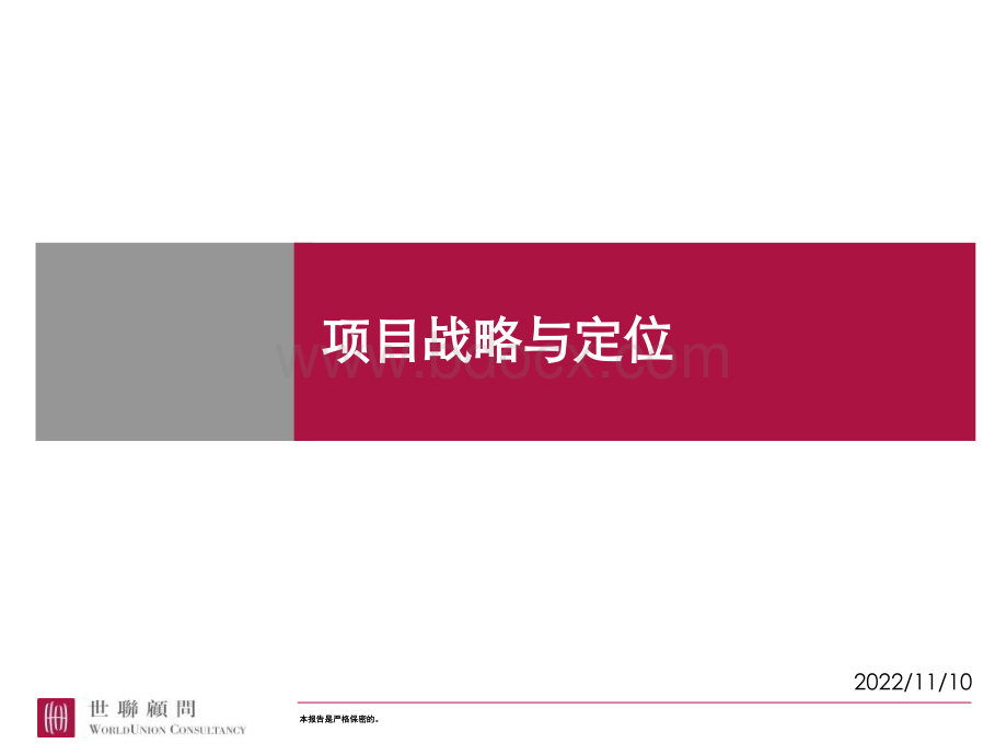 项目战略及定位PPT文件格式下载.ppt_第1页