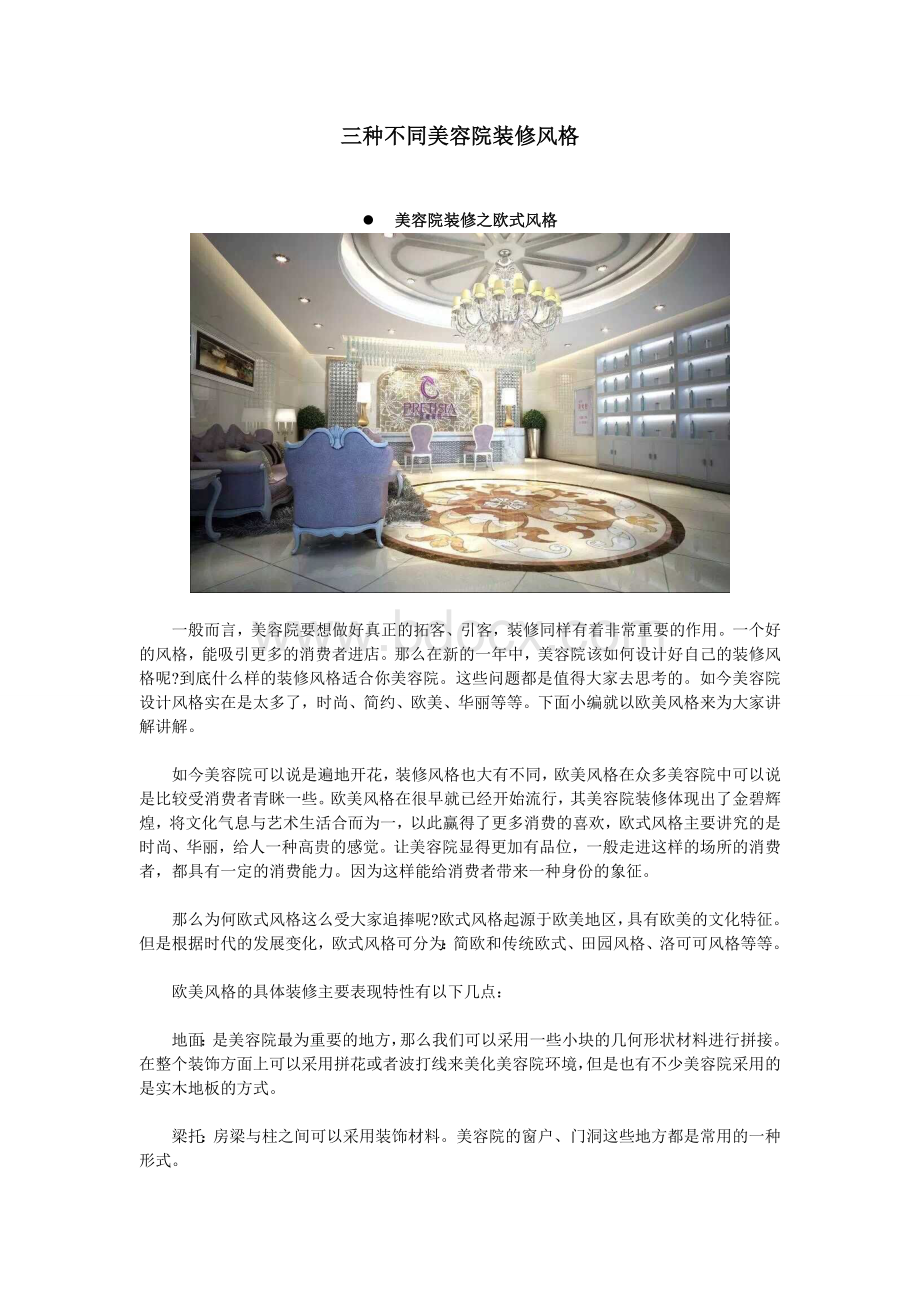 三种不同美容院装修风格Word文档下载推荐.doc