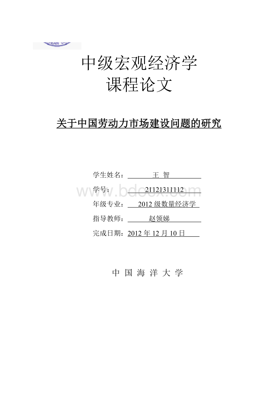 中国劳动力市场建设的现状、问题、原因与对策(12.12.22)Word文档格式.doc