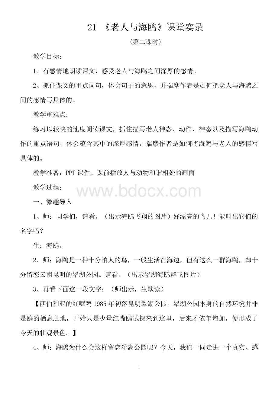 《老人与海鸥》课堂实录.doc