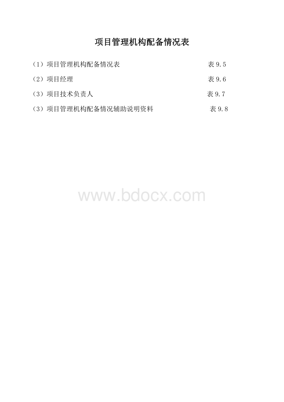 项目管理机构配备情况1文档格式.doc