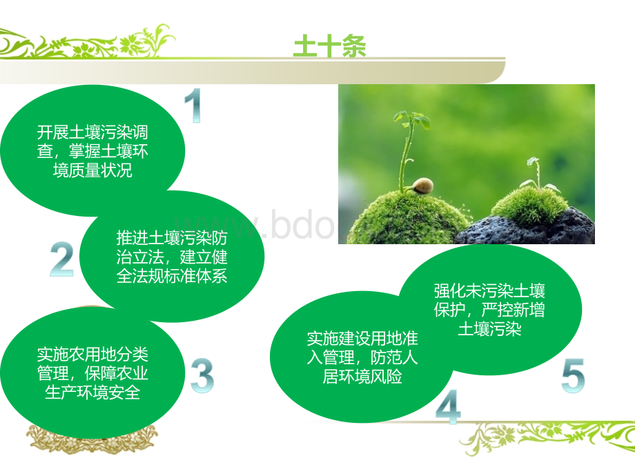 土十条学习资料.ppt_第2页