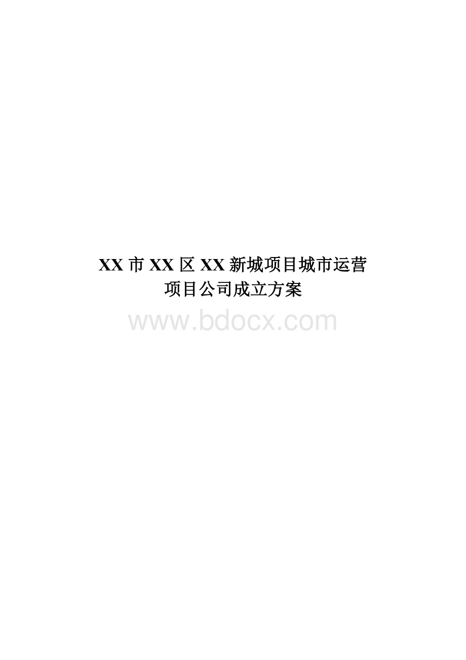 项目公司成立方案.doc_第1页