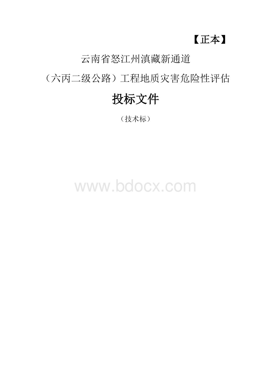 云南六丙二级公路地质灾害危险性评估投标文件.doc