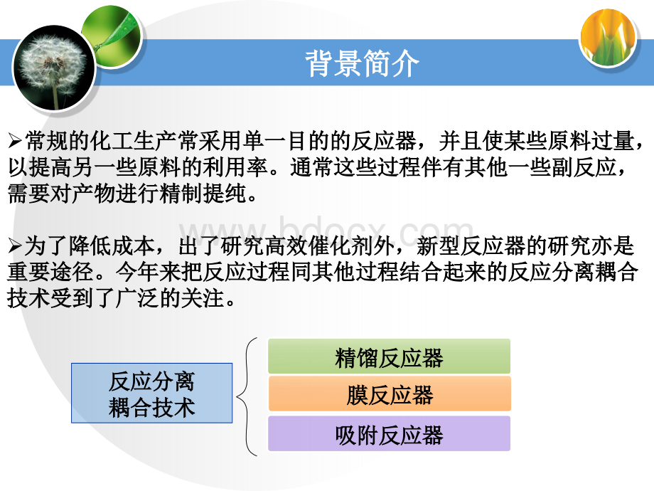 吸附反应器PPT文件格式下载.ppt_第2页