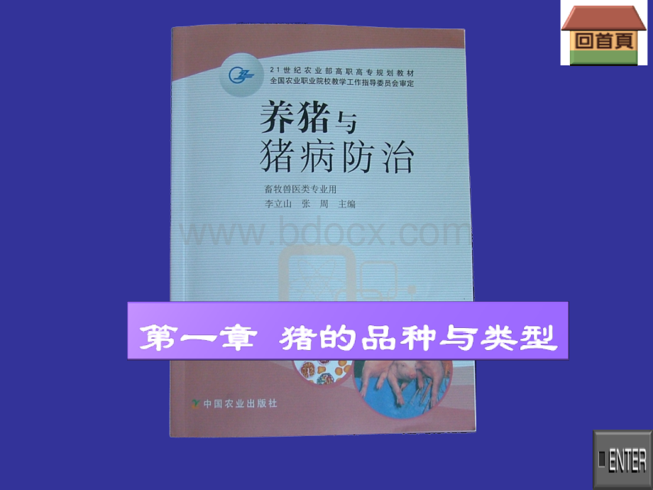 Word、Excle、PPT、图片转换为PDF.ppt