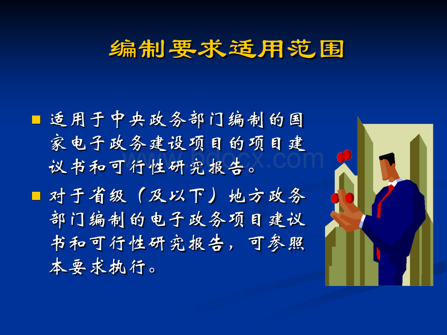 国家电子政务工程建设项目项目建议书和可行性研究报告编制要求.ppt_第3页