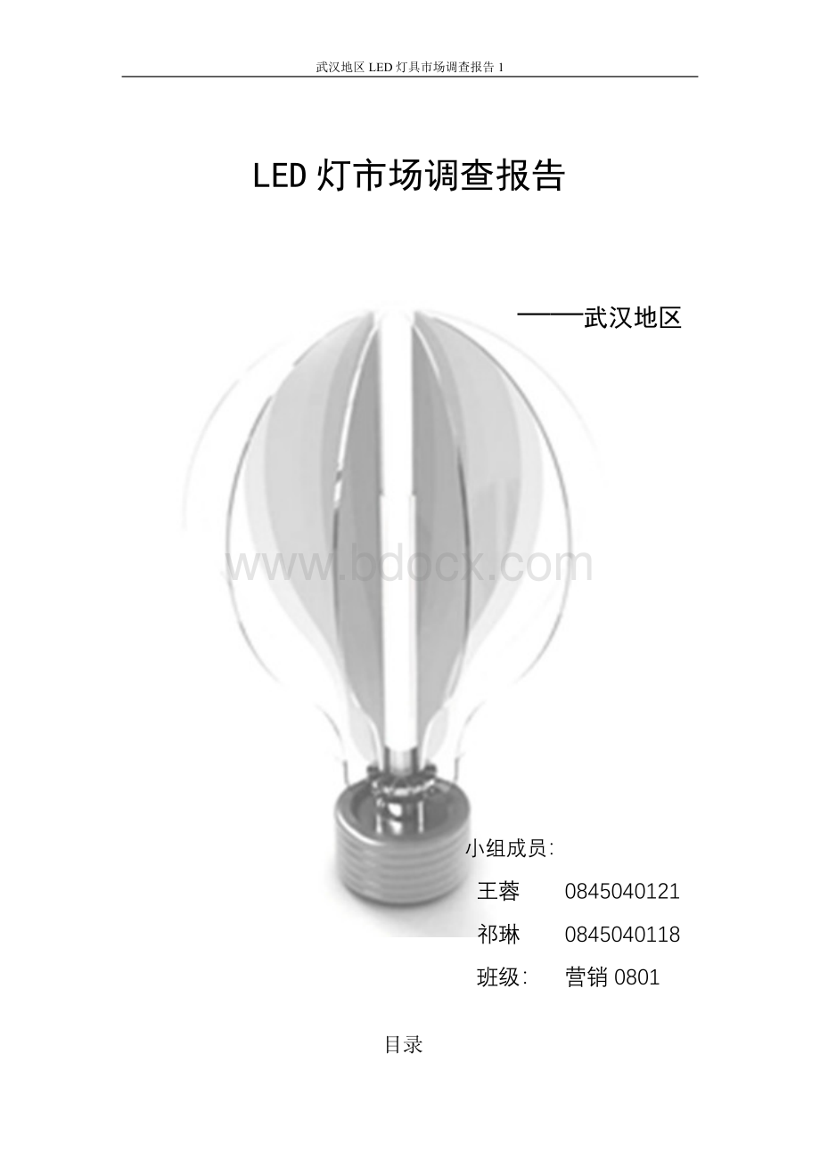 LED灯市场调查报告文档格式.doc