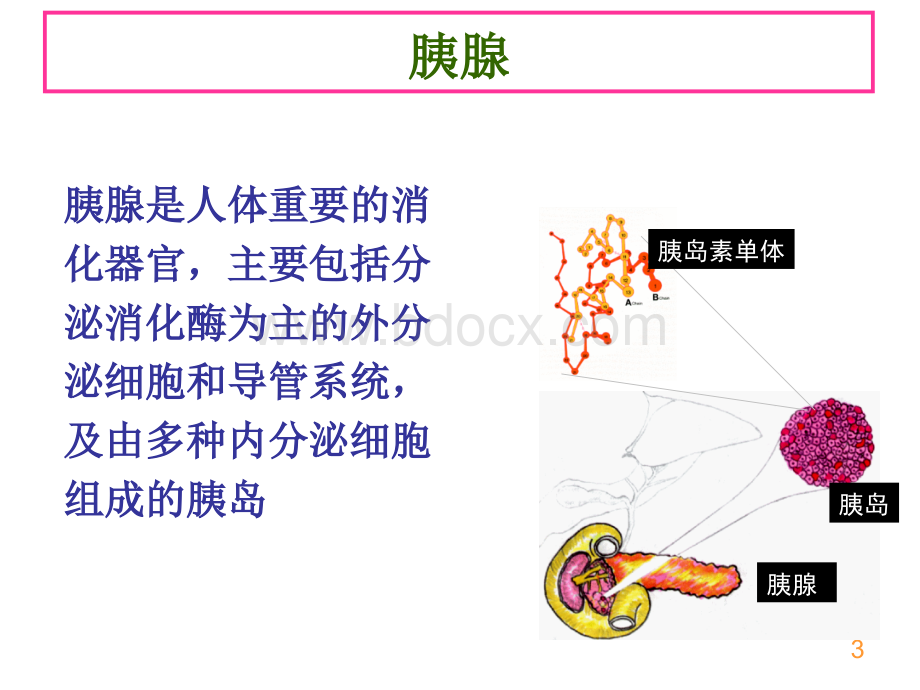 功能食品辅助降血糖.ppt_第3页