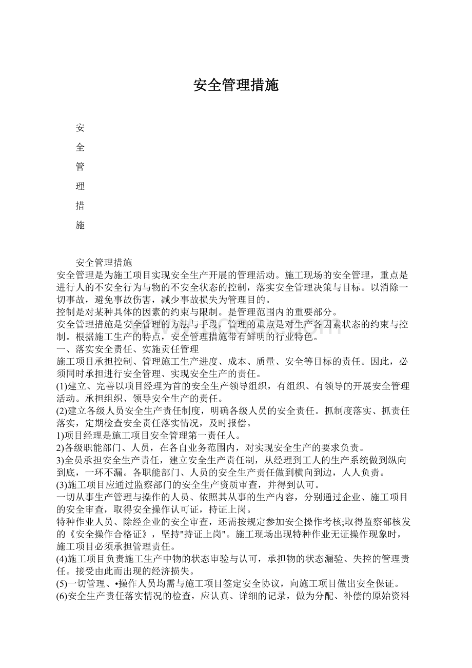 安全管理措施文档格式.docx