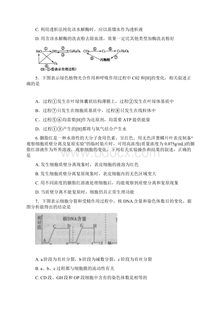 扬州中学高三最后冲刺生物试题及答案Word格式文档下载.docx_第2页