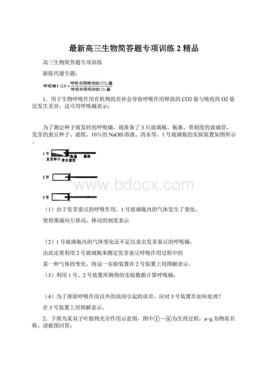 最新高三生物简答题专项训练2 精品Word格式.docx