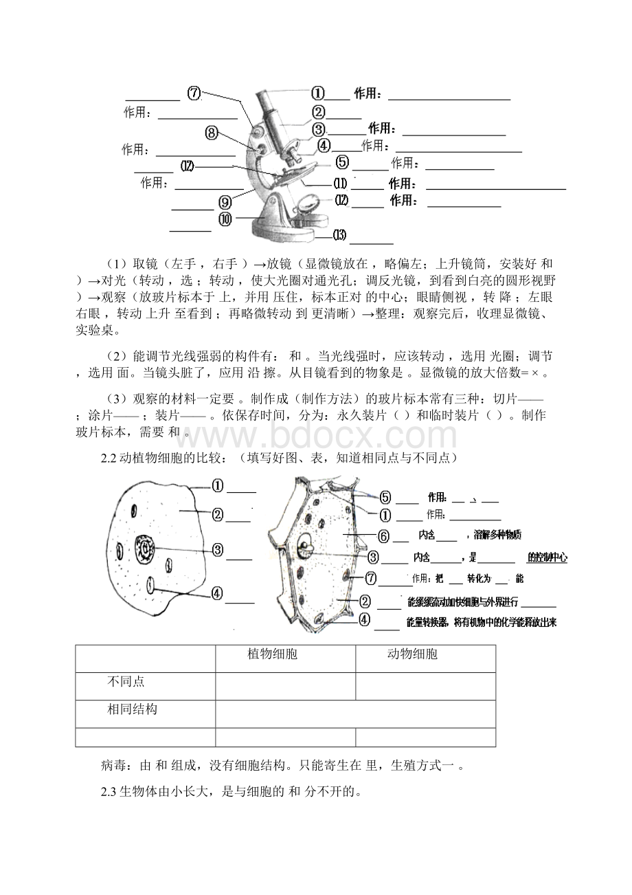 初中生物中考总复习重要知识点图表等人教版.docx_第3页