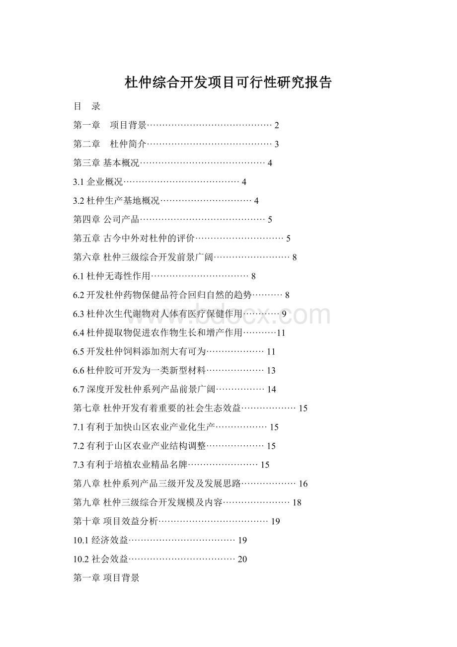 杜仲综合开发项目可行性研究报告Word格式.docx