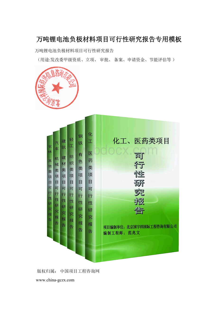 万吨锂电池负极材料项目可行性研究报告专用模板文档格式.docx_第1页