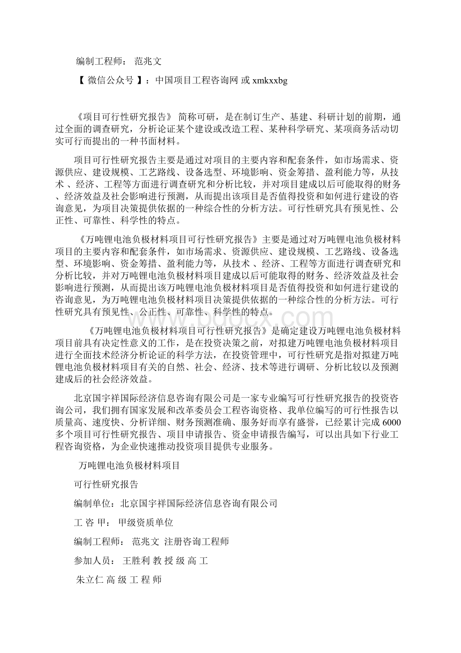 万吨锂电池负极材料项目可行性研究报告专用模板文档格式.docx_第2页