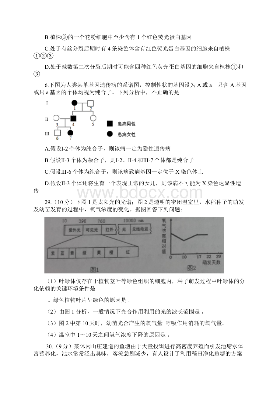 高二下学期期末考试理科综合试题生物试题 含答案.docx_第2页