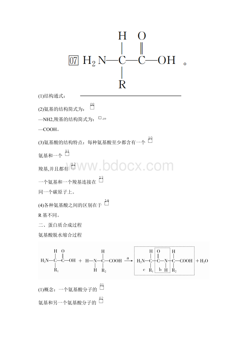 金版教程高考总复习生物经典版复习讲义必修1第一单元第3讲.docx_第3页