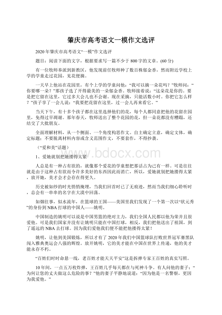 肇庆市高考语文一模作文选评.docx