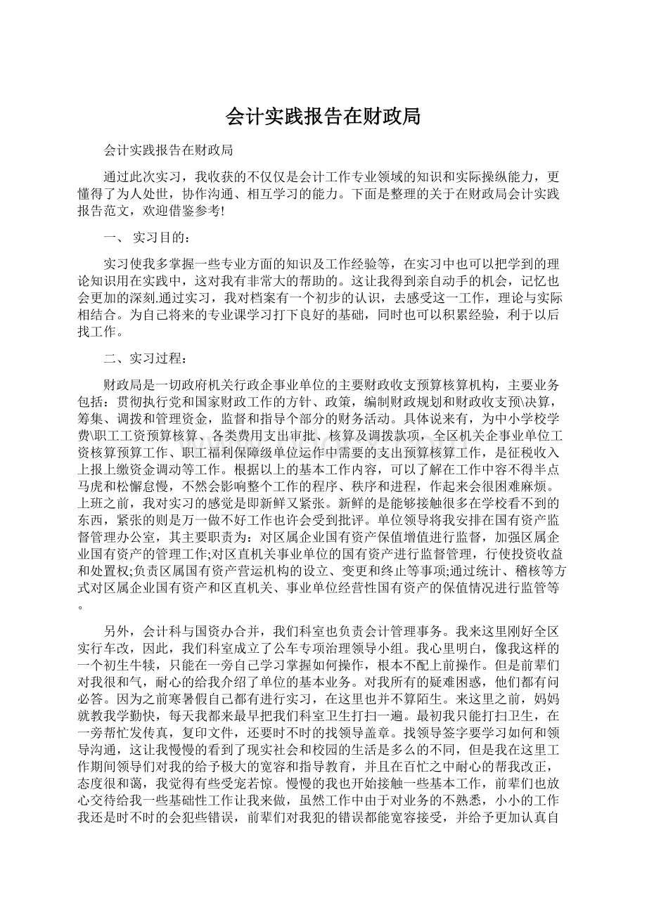 会计实践报告在财政局Word格式文档下载.docx