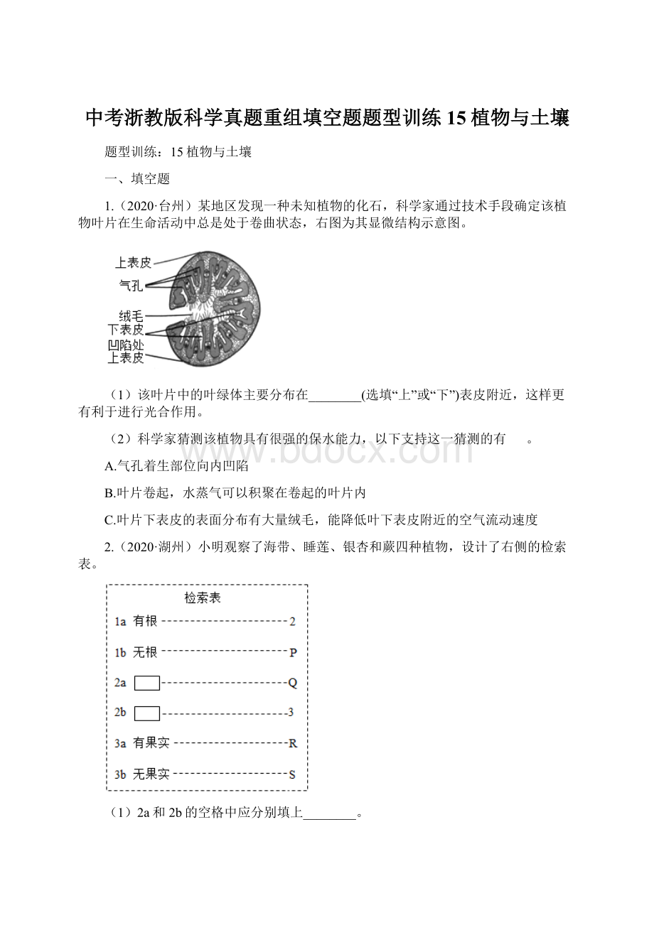 中考浙教版科学真题重组填空题题型训练15植物与土壤Word文档下载推荐.docx