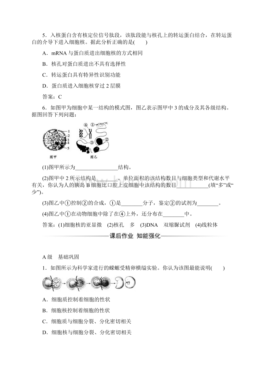 生物必修1人教版练习第3章第3节细胞核系统的控制中心附答案Word格式文档下载.docx_第2页