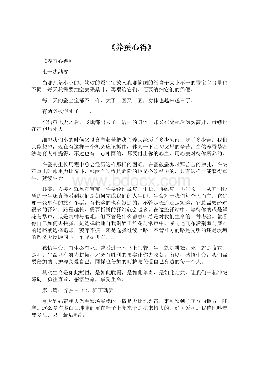 《养蚕心得》Word文档格式.docx